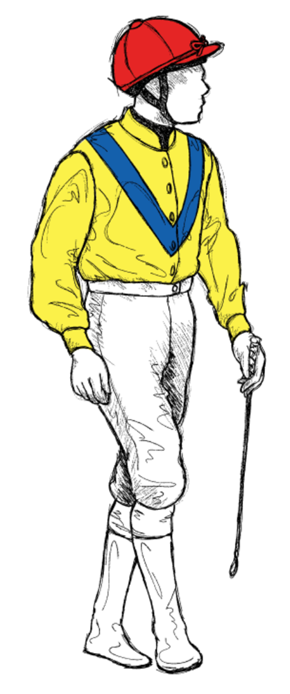 Grougha-Stables-LTD horse racing silks